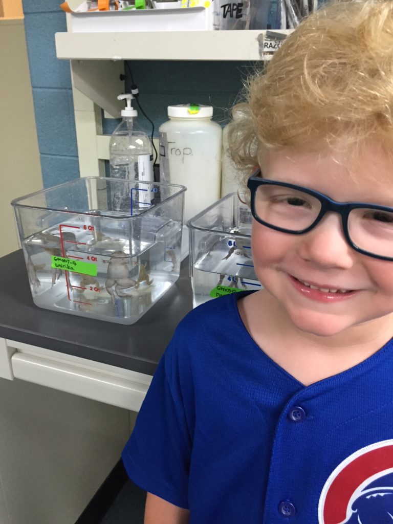 Young boy with aniridia is wearing blue glasses and a Chicago cubs t-shirt.  He is standing in front of a container that contains aniridic frogs.  