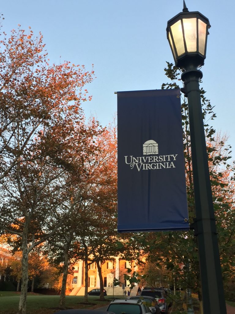 Flag on a lightpole. The flag says "University of Virginia". Beautiful fall trees are in the background.