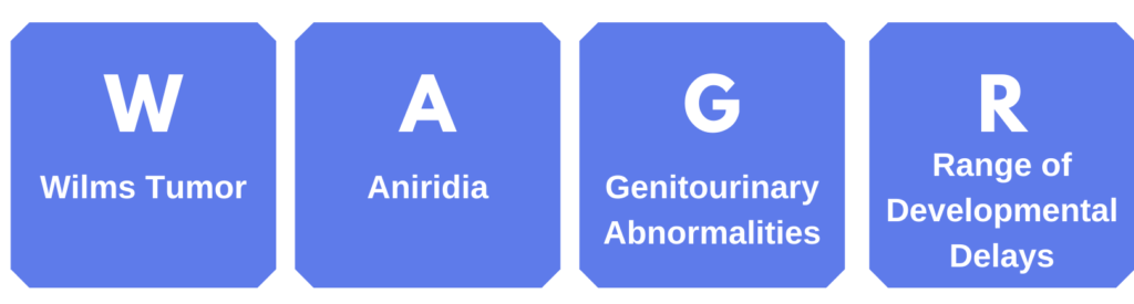 Blue squares showing the WAGR acrostic: W = Wilms Tumor, A = Aniridia, G = Genitourinary Abnormalities, R = Range of Developmental Delays