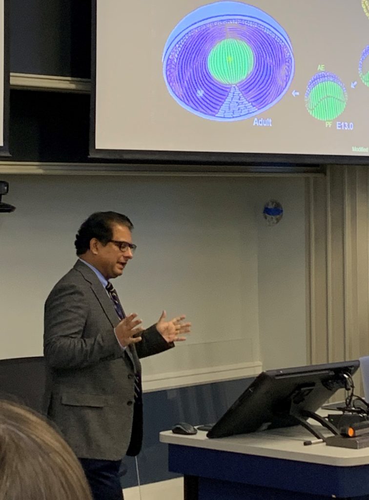 Salil Lachke is standing below a screen discussing proteins that are present as the eye forms. 