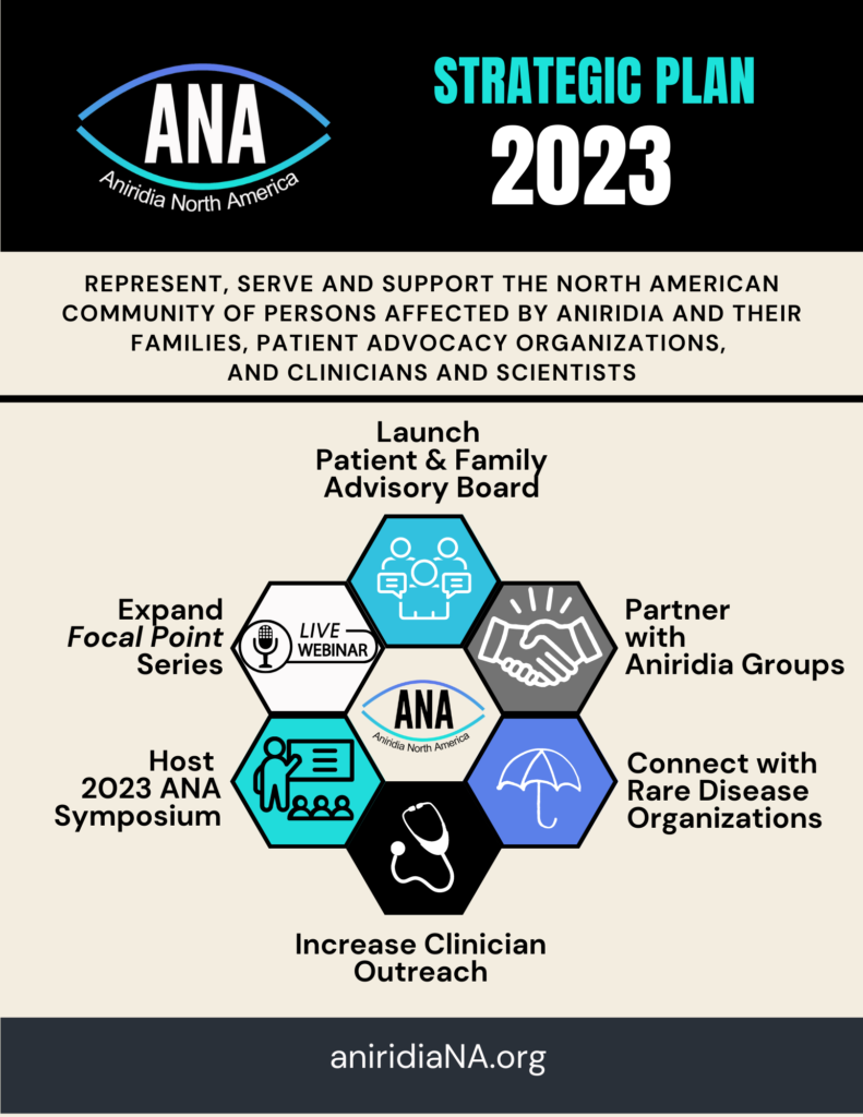 Black rectangle at the top with ANA logo and "Strategic Plan 2023." Under that is the ANA Mission: Represent, serve, and support the North American community of persons affected by aniridia and their families, patient advocacy organizations, and clinicians and scientists. The main portion of the page has 6 hexagons in a circle, with various graphics in each hexagon, and the ANA logo in the center. Around the hexagons are listed the following things: 1) Launch Patient and Family Advisory Board, 2) Partner with Aniridia Groups, 3) Connect with Rare Disease Organizations, 4) Increase Clinician Outreach, 5) Host 2023 ANA Symposium, and 6) Expand Focal Point Series.