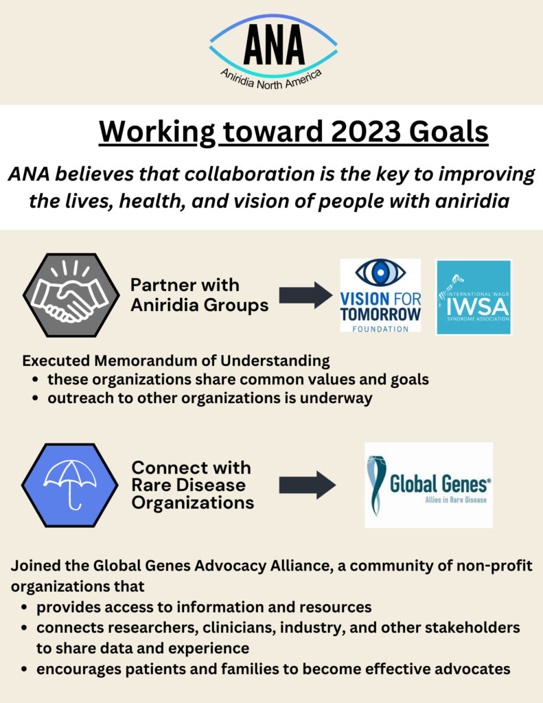 Infographic with tan background and black text. 
"ANA Working toward 2023 Goals. "
Hexagon with shaking hands graphic
"Partner with Aniridia Groups" with an arrow pointing to the logos for Vision for Tomorrow and the IWSA. 
"Executied Memorandum of Understanding"
"these organizations share common values and goals
"Outreach to other organizations is underway"

Hexagon with Umbrella graphic 
"Connect with Rare Disease Organizations" with an arrow pointing to the Global Genes logo 
"Joined the Global Genes Advocacy Alliance, a community of non-profit organizations that provides access to information and resources, connects researchers, clinicians, industry, and other stakeholders to share data and experiences, encourages patients and families to become effective advocates