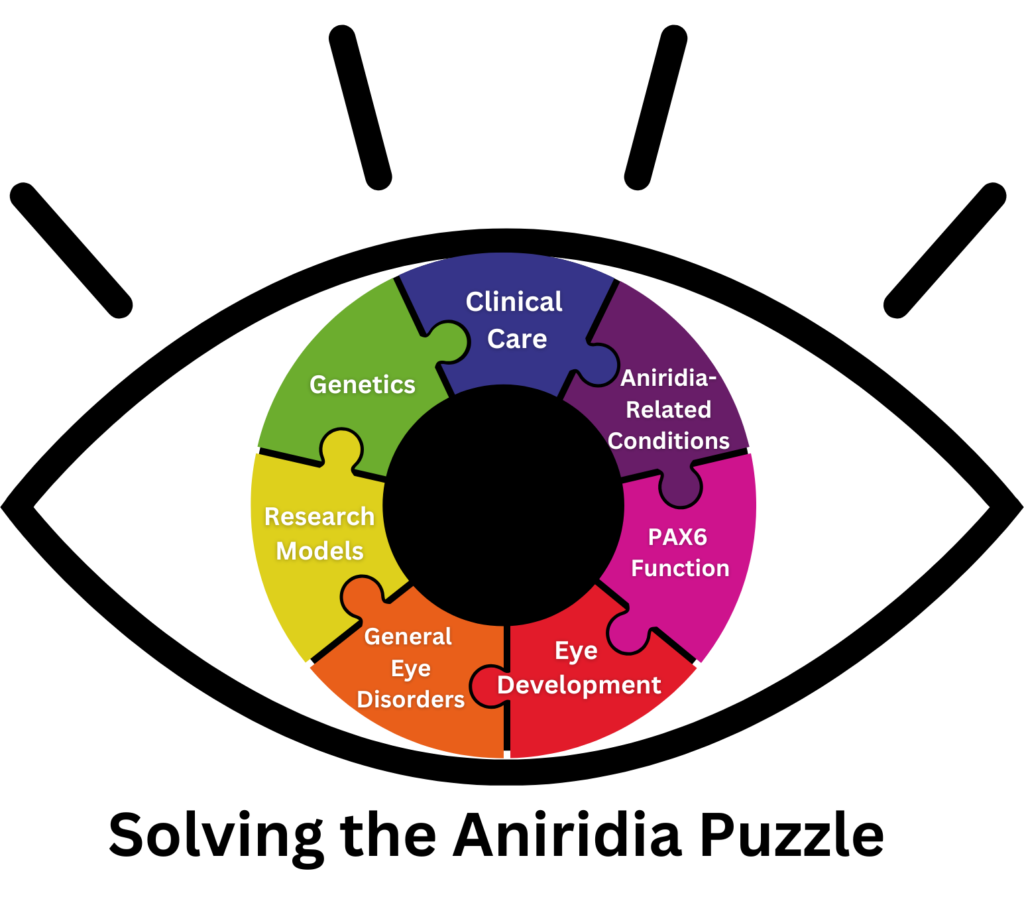 Image is an Eye shape with an iris made out of Puzzle pieces.  The puzzle pieces are labeled Clinical Care, Aniridia-Related Conditions, PAX6 Function, Eye Development, General Eye disorders, Research Models, and Genetics. 