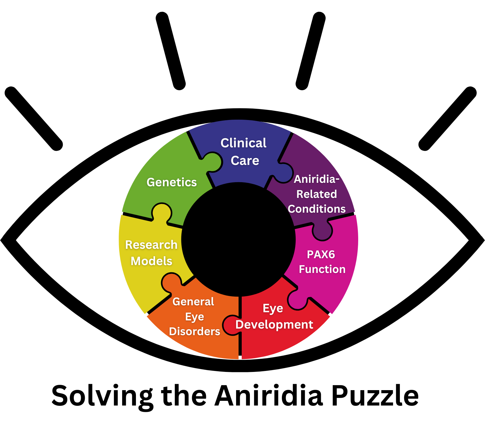 Image is an Eye shape with an iris made out of Puzzle pieces. The puzzle pieces are labeled Clinical Care, Aniridia-Related Conditions, PAX6 Function, Eye Development, General Eye disorders, Research Models, and Genetics.